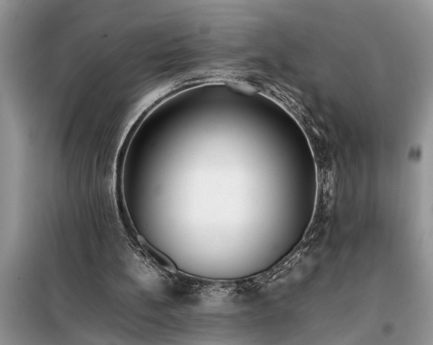 X0000097960148200804071040