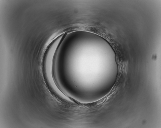 X0000097960150200804071040