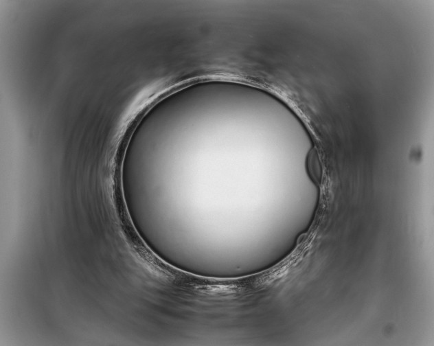 X0000097960151200804071040