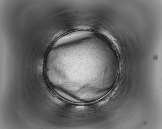 X0000097960153200804071041