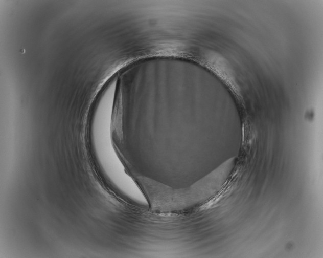 X0000097960156200804071041