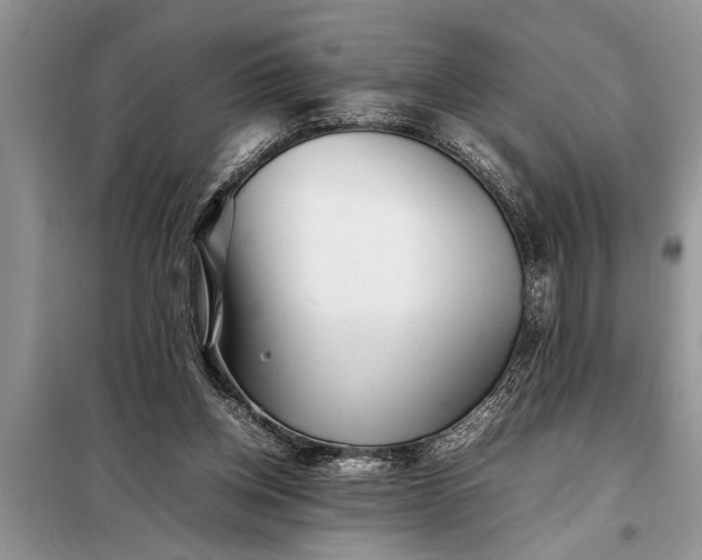 X0000097960158200804071041