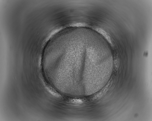 X0000097960159200804071041