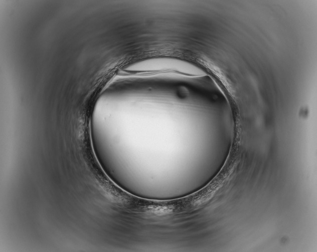 X0000097960161200804071041
