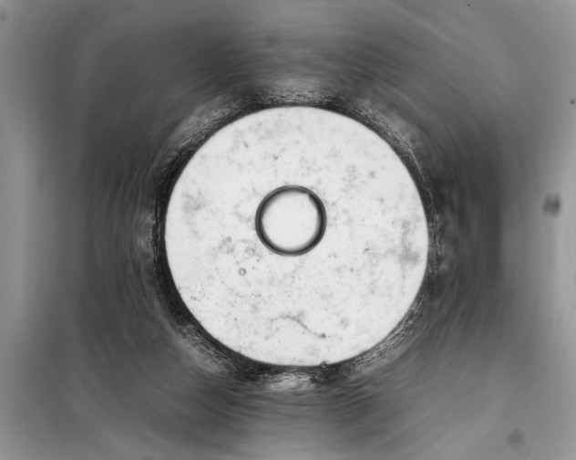 X0000097960162200804071041