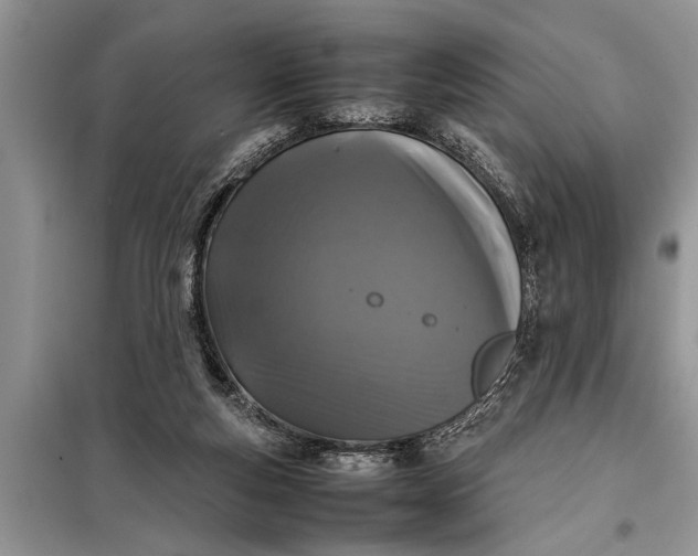X0000097960163200804071041