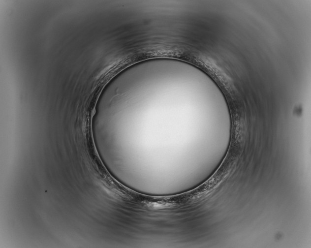 X0000097960165200804071041