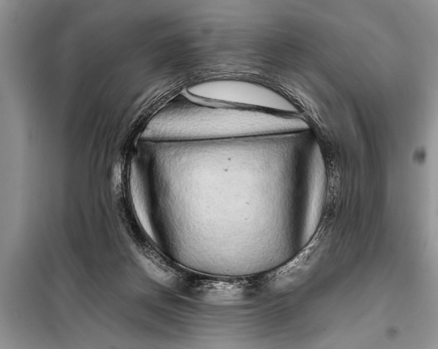 X0000097960166200804071041