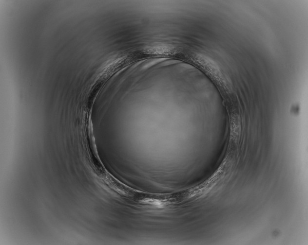 X0000097960167200804071041