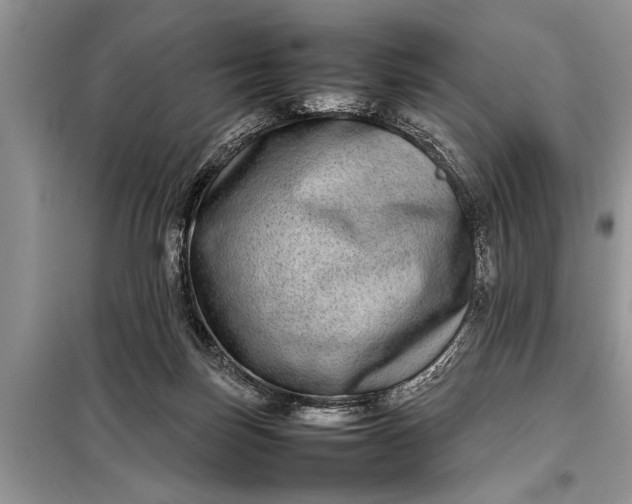 X0000097960171200804071041