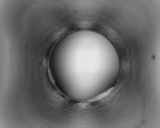 X0000097960172200804071041