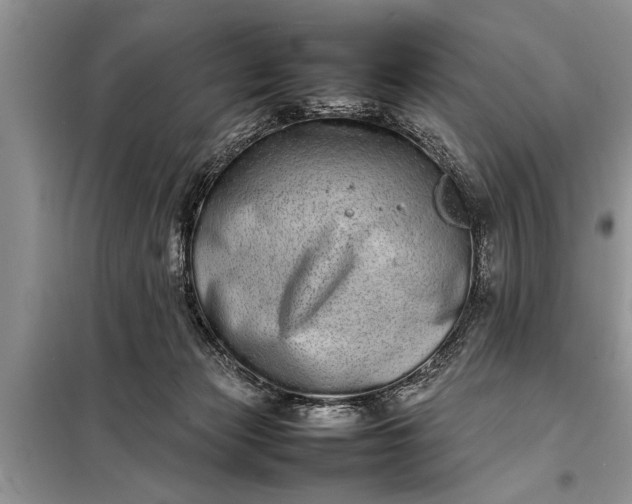 X0000097960173200804071041