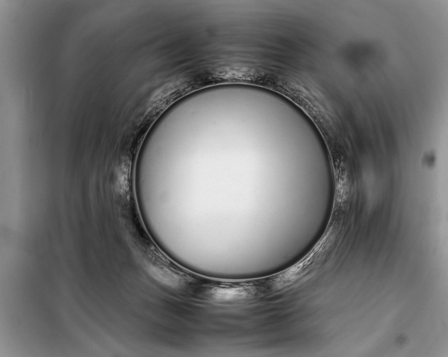 X0000097960175200804071041