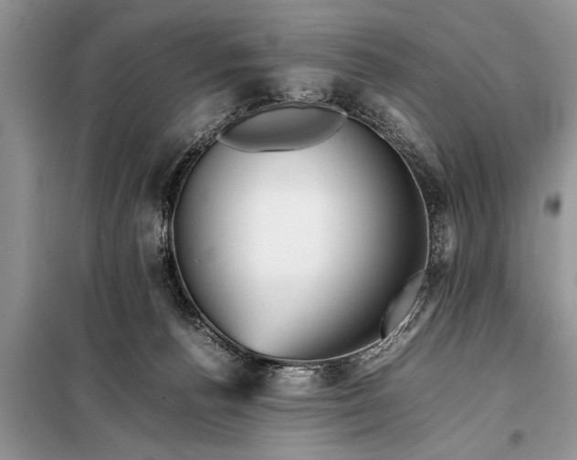 X0000097960176200804071041