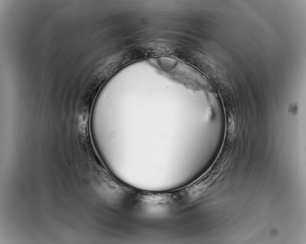 X0000097960177200804071041