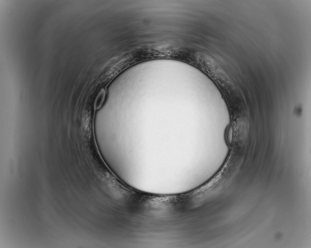 X0000097960178200804071041