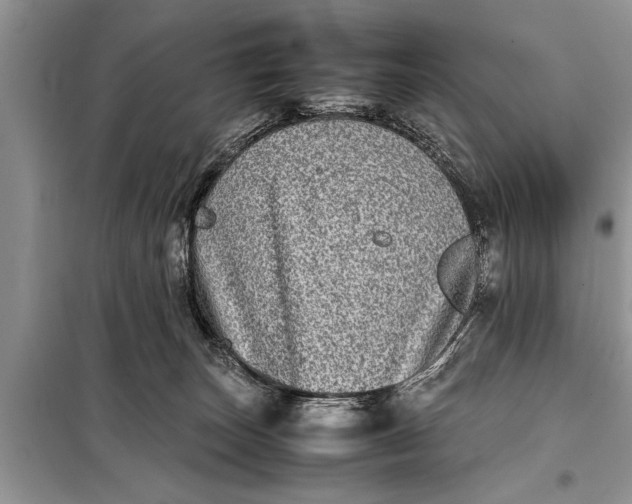 X0000097960179200804071041