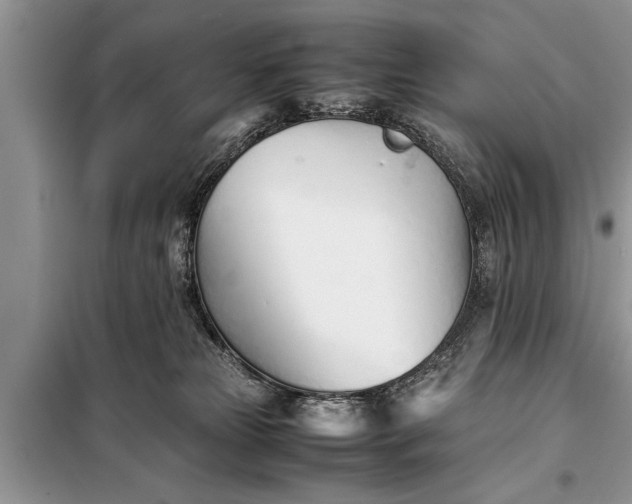 X0000097960181200804071041
