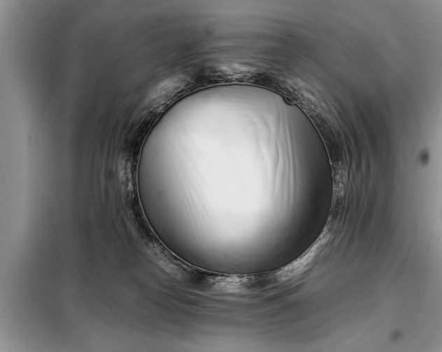 X0000097960182200804071041
