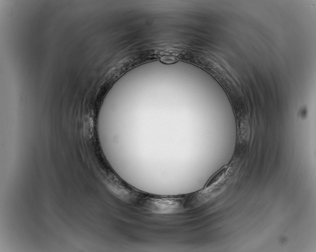 X0000097960183200804071041