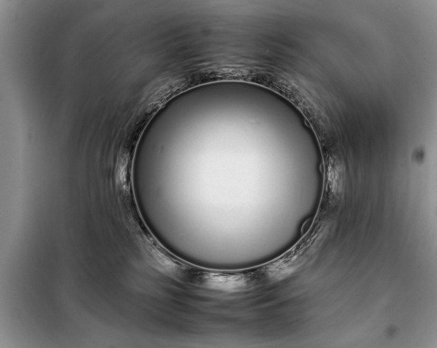 X0000097960185200804071041