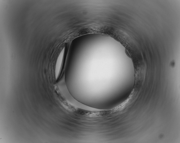 X0000097960186200804071041