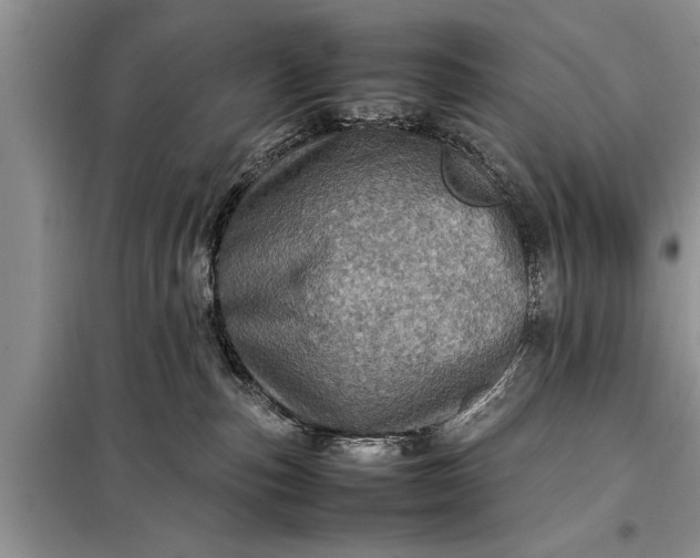 X0000097960187200804071041