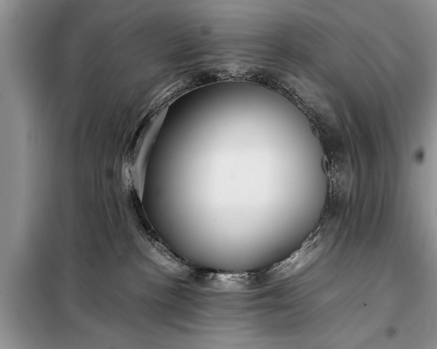 X0000097960188200804071041