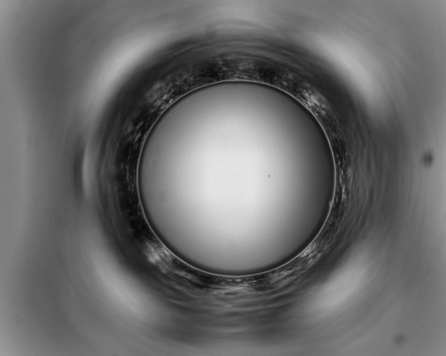 X0000097960189200804071041