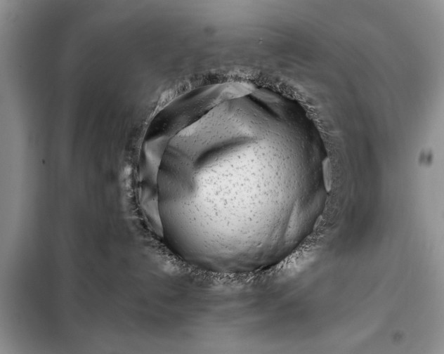 X0000097960192200804071041