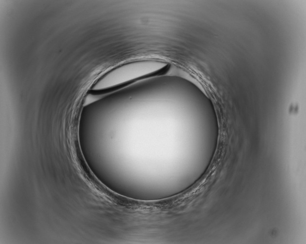 X0000097960193200804071040