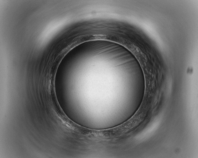 X0000097960194200804071040