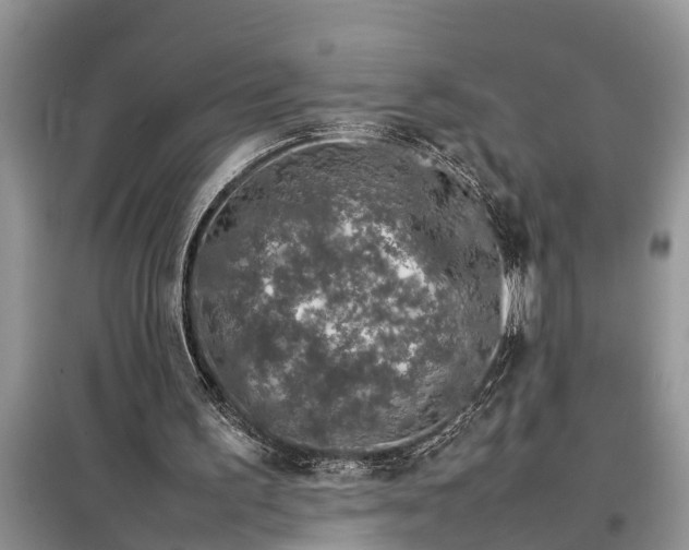 X0000097960195200804071040
