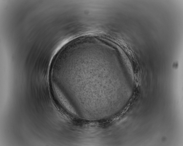 X0000097960196200804071040