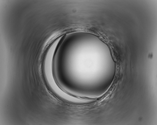 X0000097960197200804071040