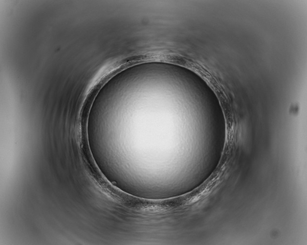 X0000097960198200804071040