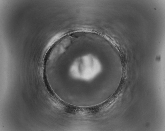 X0000097960199200804071040