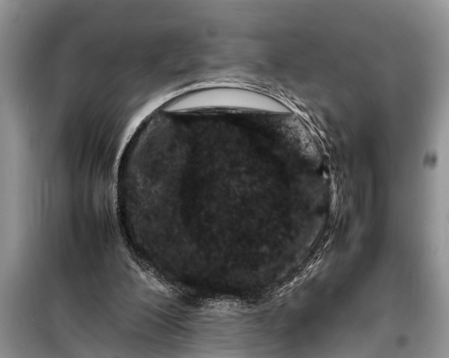 X0000097960200200804071040