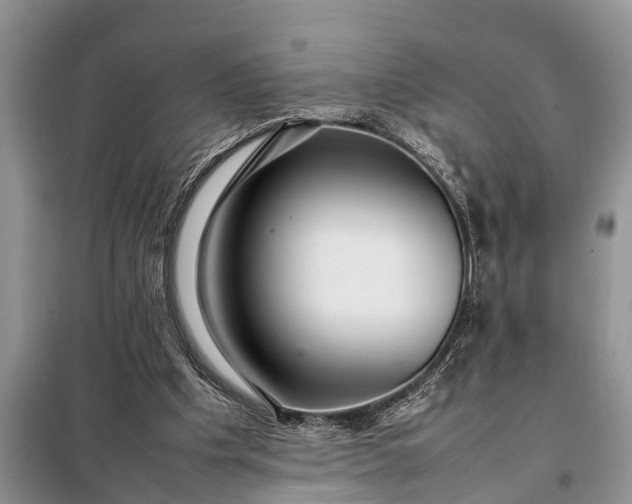 X0000097960201200804071040