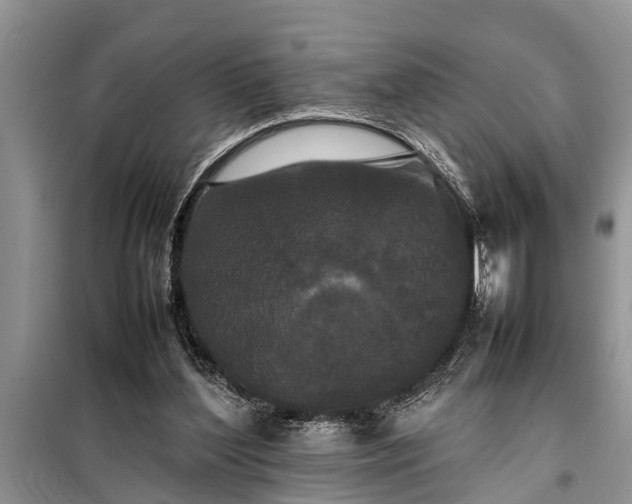 X0000097960204200804071040