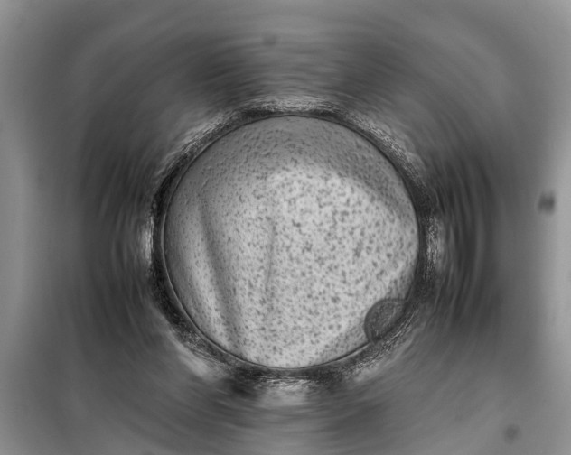 X0000097960206200804071040