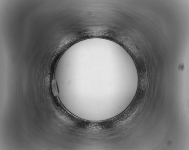 X0000097960207200804071040