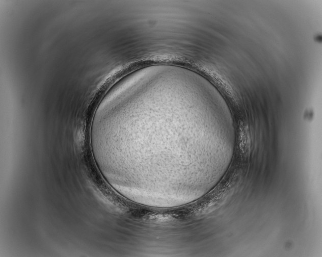 X0000097960208200804071040