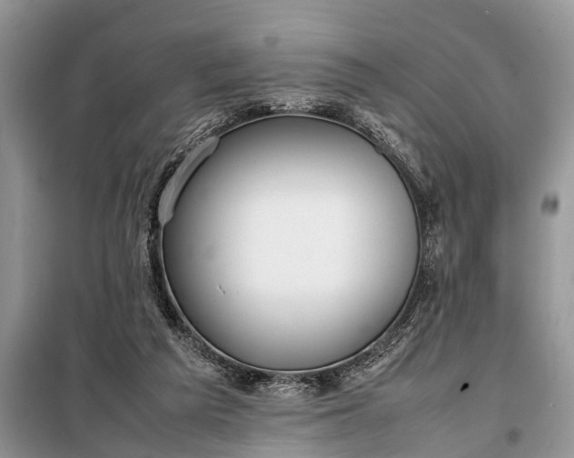 X0000097960209200804071040