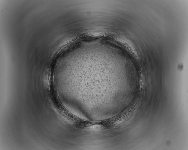 X0000097960210200804071040