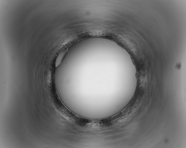 X0000097960211200804071040