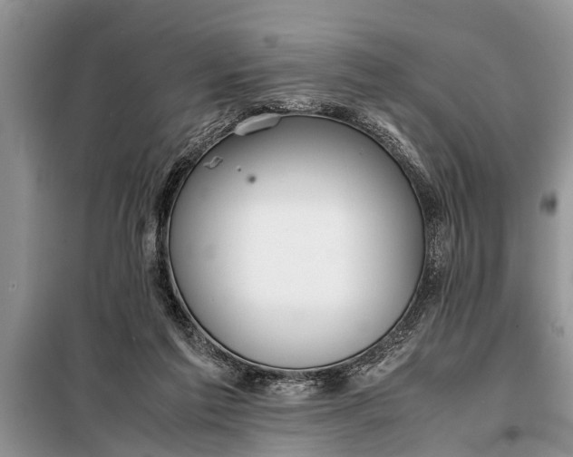 X0000097960213200804071040