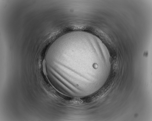 X0000097960215200804071040