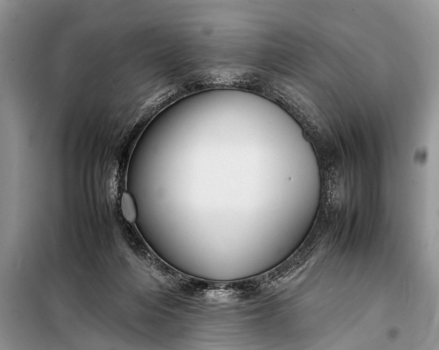 X0000097960216200804071040