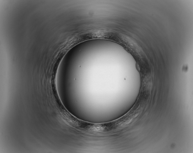 X0000097960217200804071040